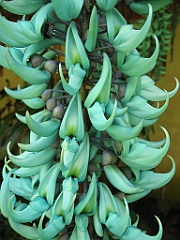 020 Jardin Botanique